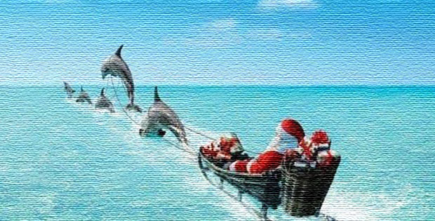 Delfini z Božičkom 620
